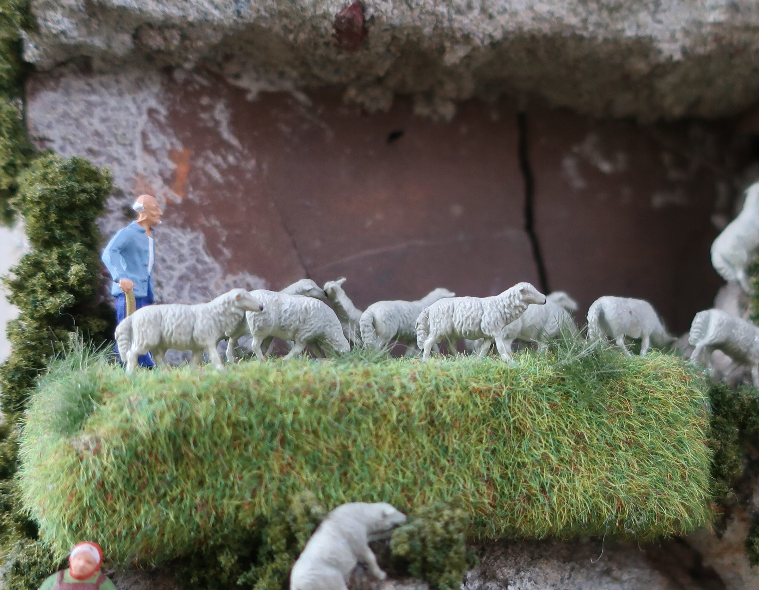 Shepherd at NW Yarns & Mercantile