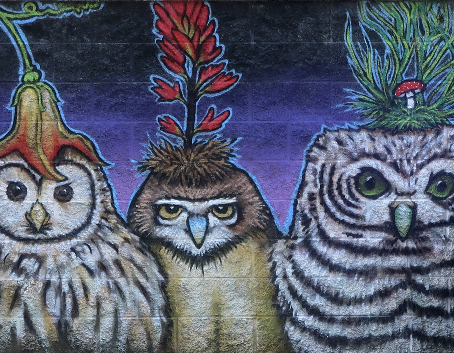 Bird Alley