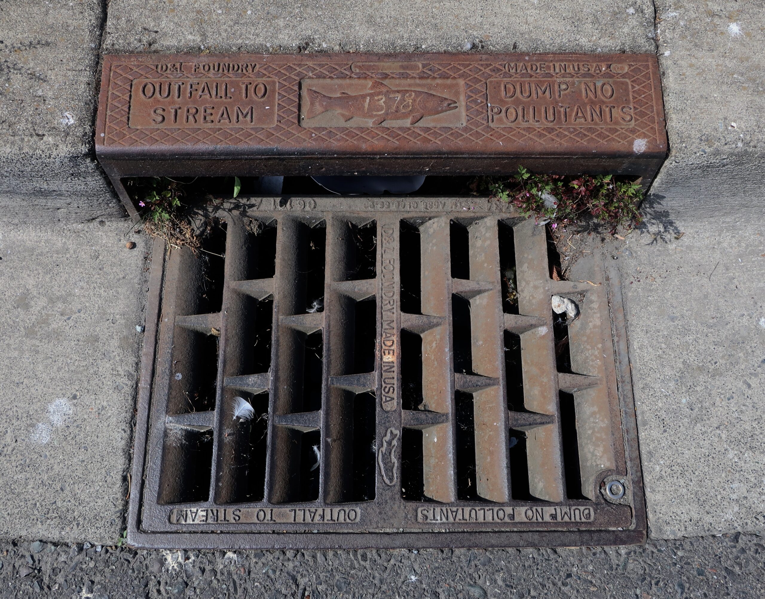 Storm Drain